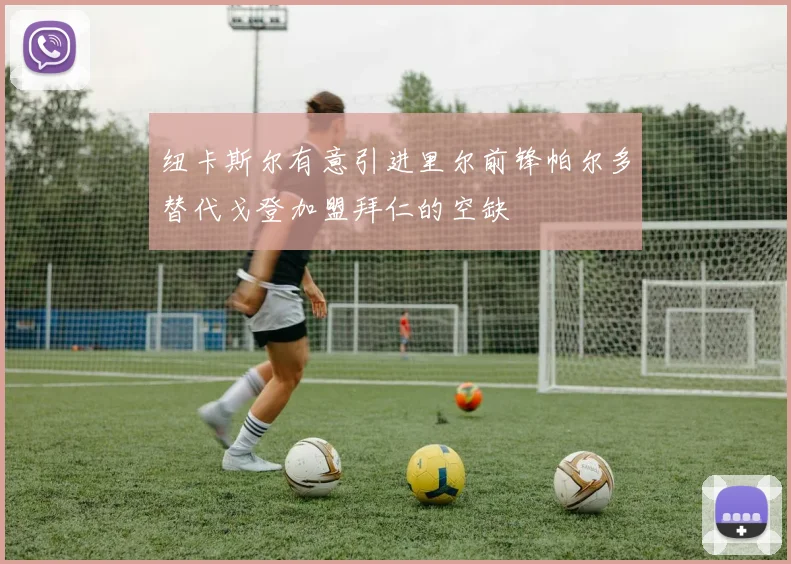 纽卡斯尔有意引进里尔前锋帕尔多替代戈登加盟拜仁的空缺