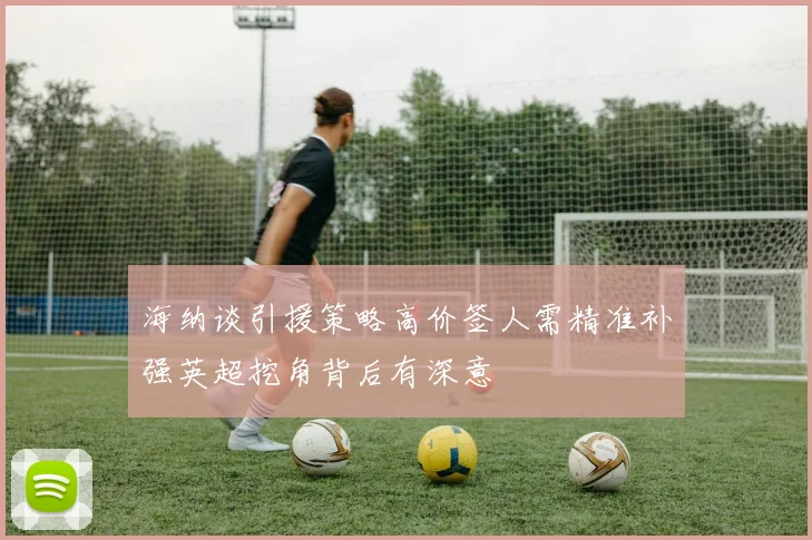 海纳谈引援策略高价签人需精准补强英超挖角背后有深意