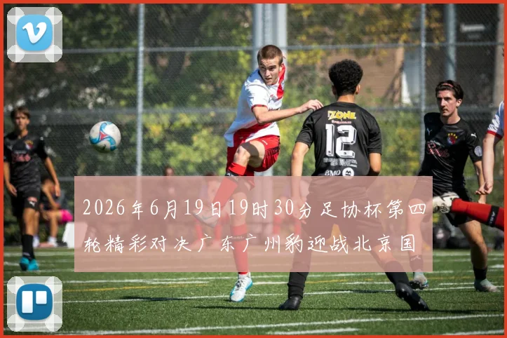2026年6月19日19时30分足协杯第四轮精彩对决广东广州豹迎战北京国安